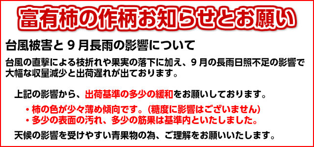 楽天ランキング1位入賞!,1980円,柿,富有柿,皇室献上,かき,完熟,送料無料,早割,歳暮,お歳暮,ギフト,JAやさと柿