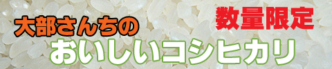 ÂçÉô¤µ¤ó¤Á¤Î¤ª¤¤¤·¤¤¤³¤·¤Ò¤«¤ê