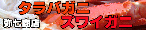 ¥¿¥é¥Ð¥¬¥Ë¡¡¥º¥ï¥¤¥¬¥Ë¡¡Ìï¼·¾¦Å¹