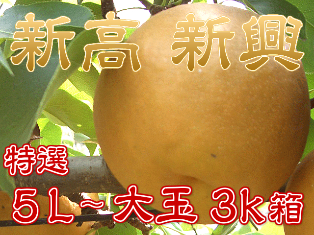 梨(幸水/豊水/新高/新興)特徴