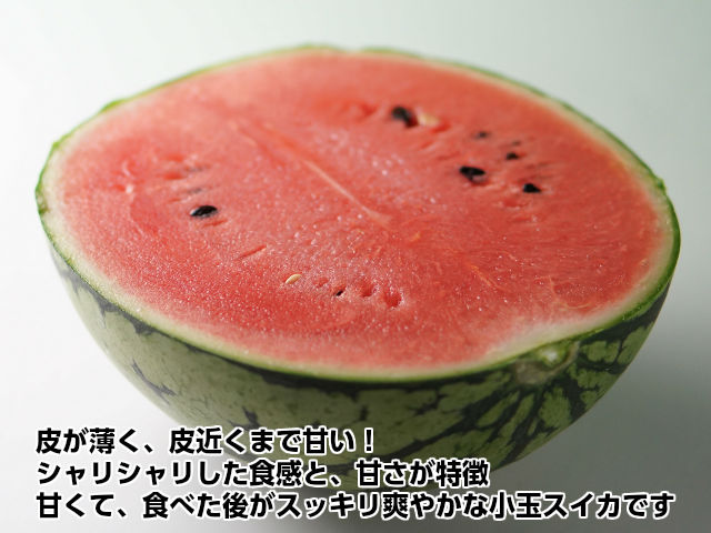 皮が薄く、皮近くまで甘いスイカ 小玉すいか お中元 ギフト