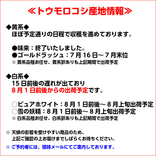 配送条件をご確認ください。,とうもろこし,トウモロコシ,朝採り,即日配送,送料無料,ギフト