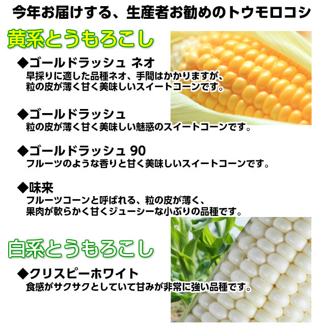 配送条件をご確認ください。,とうもろこし,トウモロコシ,朝採り,即日配送,送料無料,ギフト