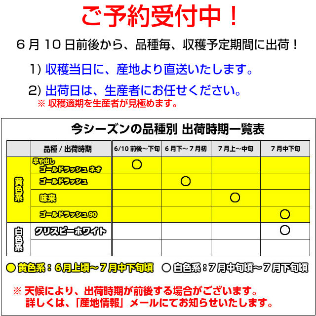 配送条件をご確認ください。,とうもろこし,トウモロコシ,朝採り,即日配送,送料無料,ギフト