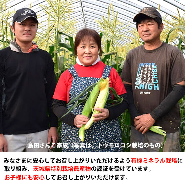 島田さんご家族が丹精込めて栽培してお届けします。お中元などギフトに最適です。