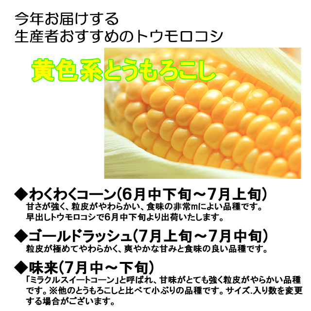 トウモロコシのラインナップです。1.わくわくコーン(6月下旬~7月上旬)甘さが強く、粒皮が軟らかい、食味の非常に良い品種です。早出しトウモロコシで6月下旬より出荷いたします。
2.ゴールドラッシュ(7月上旬~7月中旬)粒皮がきわめてやわらかく、さわやかな甘みの食味のよい品種です。3.味来(7月中旬~下旬)「ミラクルスイートコーン」と呼ばれ、甘味がとても強く粒皮がやらかい品種です。※他のとうもろこしと比べて小ぶりの品種です。サイズ.入り数を変更する場合がございます。,とうもろこし,トウモロコシ,朝採り,送料無料,ギフト