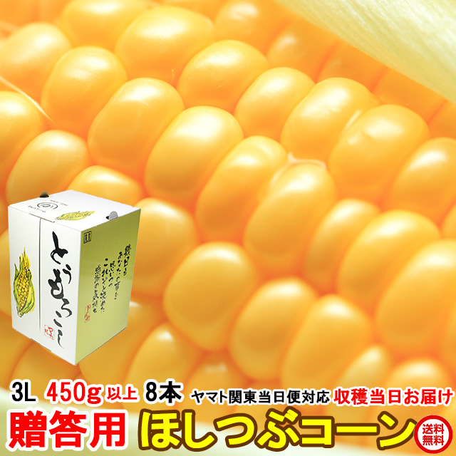 とうもろこし,トウモロコシ,ほしつぶコーン