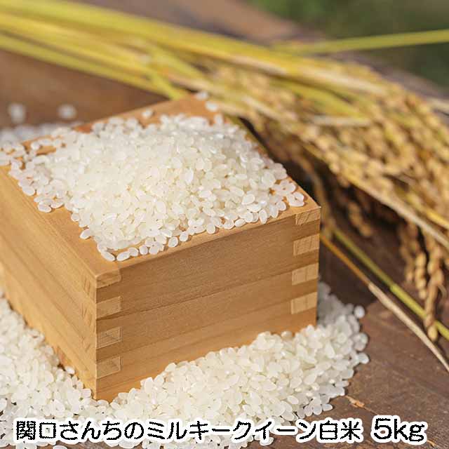 送料無料,こめ,米,無農薬栽培ミルキークイーン,白米,玄米,5kg,関口さんちのミルキークイーン