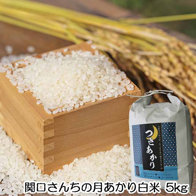 送料無料,こめ,米,無農薬栽培月あかっり,白米,玄米,5kg,関口さんちの月あかり,米コシヒカリ