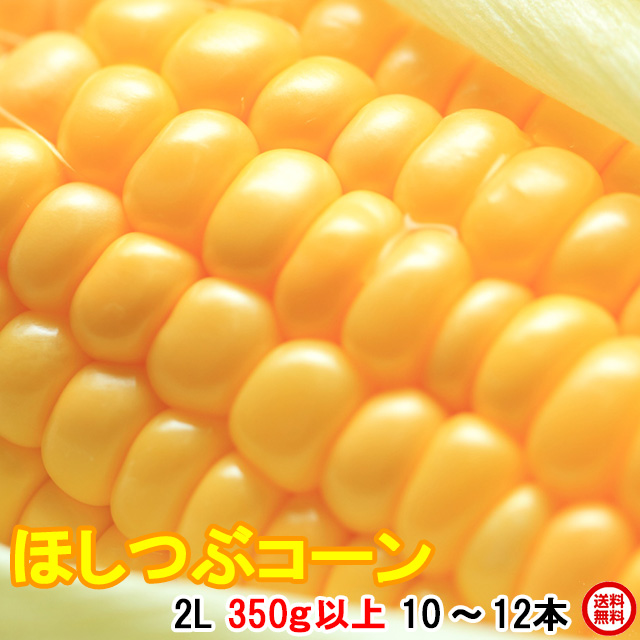 とうもろこし,トウモロコシ,ほしつぶコーン