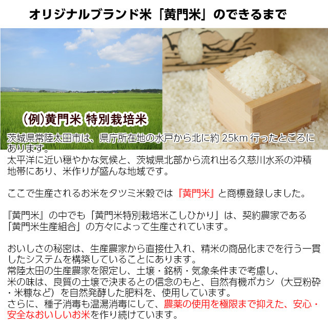 オリジナルブランド米「黄門米」のできるまで。茨城県常陸太田市は、県庁所在地の水戸から北に約25km行ったところにあります。太平洋に近い穏やかな気候と、茨城県北部から流れ出る久慈川水系の沖積地帯にあり、米作りが盛んな地域です。ここで生産されるお米をタツミ米穀では『黄門米』 と商標登録しました。
