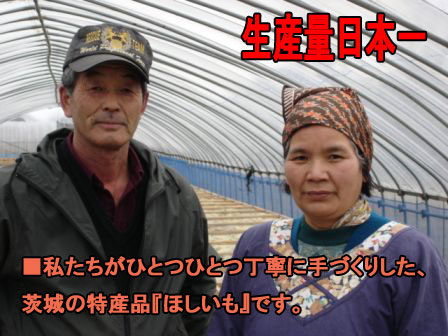 茨城,送料無料,丸干しいも,乾燥芋,干し芋,ほしいも,丸干しいも,お歳暮,年賀,ギフト