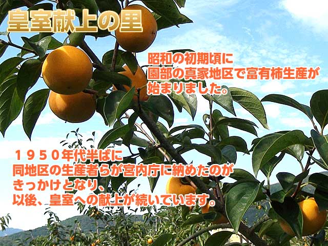 皇室献上の里,昭和初期頃に園部の真家地区で富有柿生産者が始まりました。1950年半ばに同地区の生産者らが宮内庁に収めたのがきっかけとなり、以後。皇室への献上が続いています。,JAやさと柿
