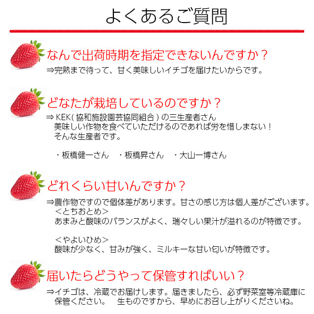 生産者の板橋健一さん、板橋昇さん、大山一博さんの三生産者がわが子の様に丹精込めて育てました。甘くて、酸味とのバランスのよい美味しいイチゴです。完熟にこだわって収穫してお届けします。