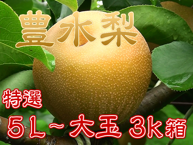 梨(幸水/豊水/新高/新興)特徴