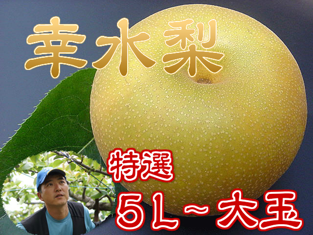 梨(幸水/豊水/新高/新興)特徴