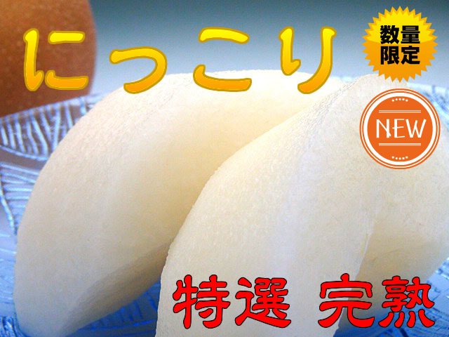 梨 にっこり ギフト なし 完熟 にっこり梨 特選 5L以上 3kg箱 送料無料