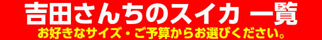 フルーツ,吉田さんちの紅大スイカ一覧,すいか,お中元 ギフト