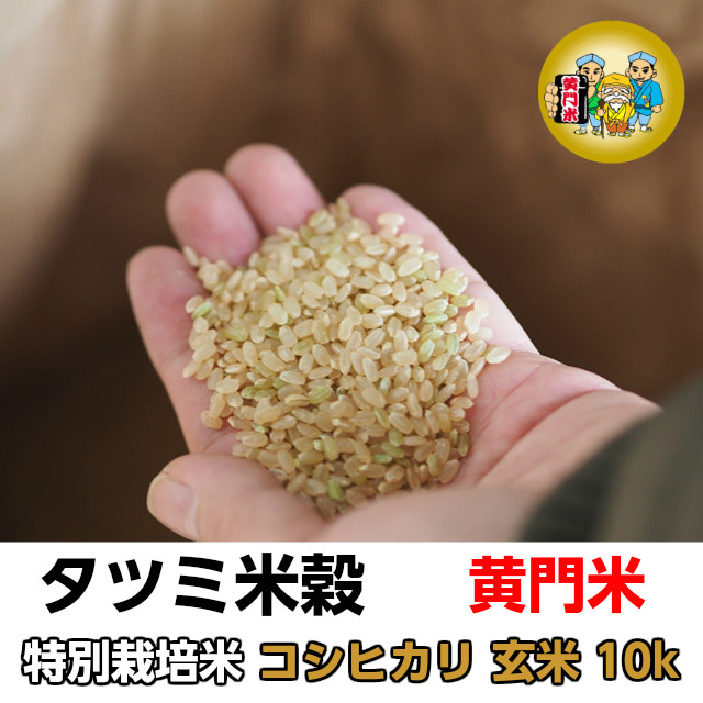 タツミ米穀,黄門米,特別栽培米コシヒカリ,玄米10kg