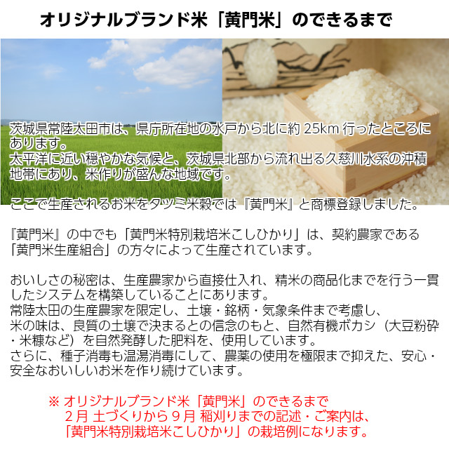 オリジナルブランド米「黄門米」のできるまで。茨城県常陸太田市は、県庁所在地の水戸から北に約25km行ったところにあります。太平洋に近い穏やかな気候と、茨城県北部から流れ出る久慈川水系の沖積地帯にあり、米作りが盛んな地域です。ここで生産されるお米をタツミ米穀では『黄門米』 と商標登録しました。
