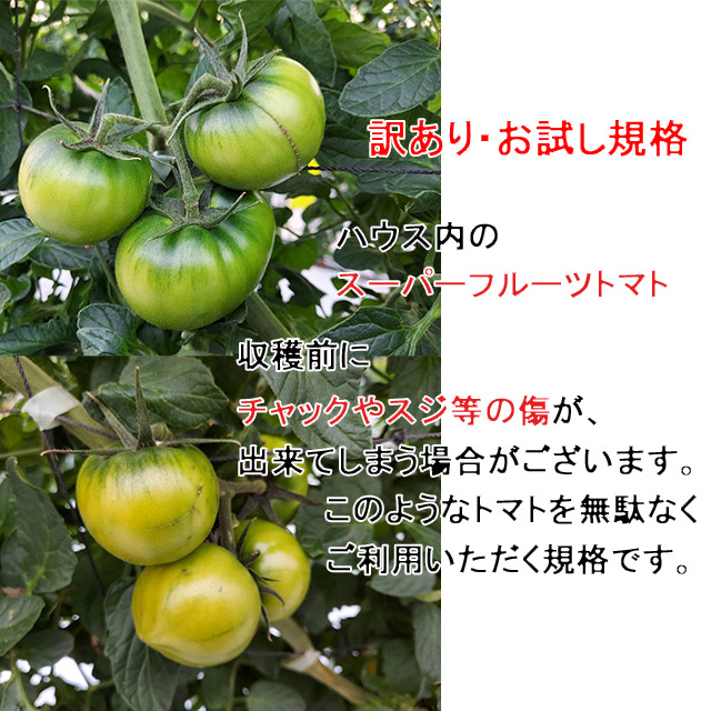 野菜ソムリエサミット 金賞受賞,スーパーフルーツトマト,大玉,高糖度
